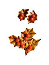 Load image into Gallery viewer, 1940s Brown Christmas Holly Celluloid Earrings and Brooch Set
